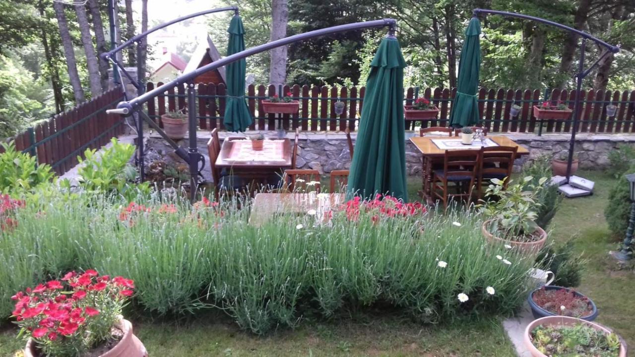 Restaurant And Apartments - T'Ga Za Jug Lazaropole 외부 사진